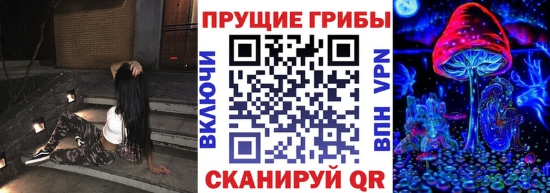Галлюциногенные грибы мицелий  где купить   Шлиссельбург 