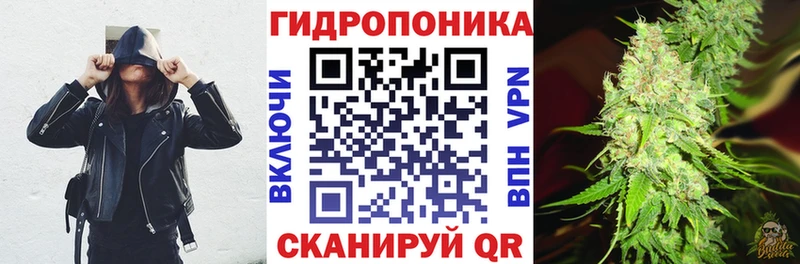 Бошки Шишки план  Шлиссельбург 